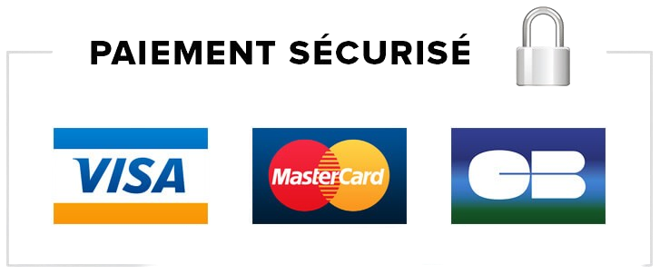 paiement securise removebg preview